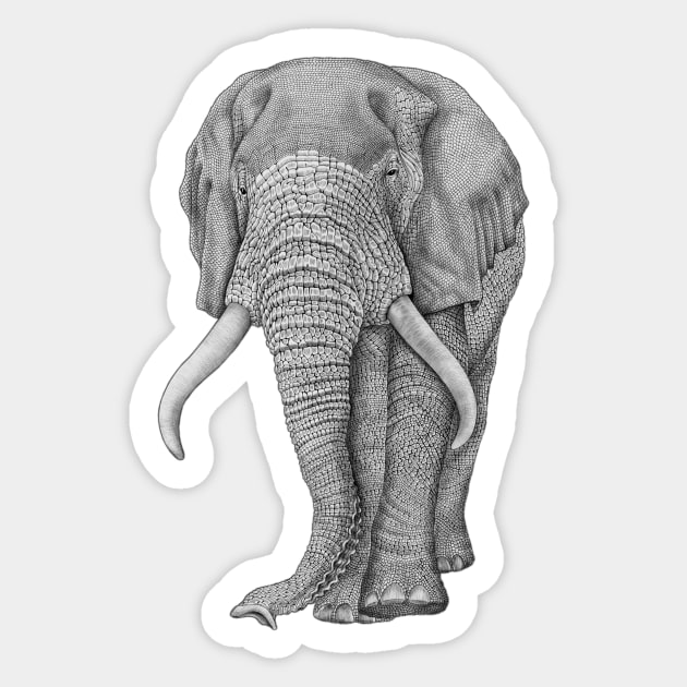 African elephant Sticker by Tim Jeffs Art